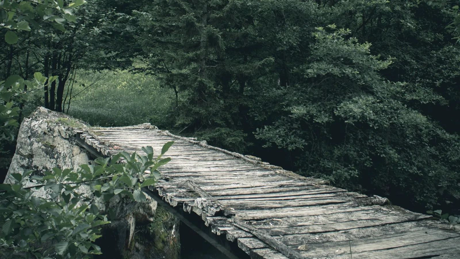 Crossing Over: What It Really Means to Be Empathetic Beyond Understanding